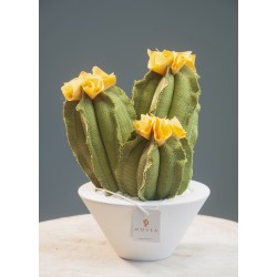 Tris cactus in tessuto misura media