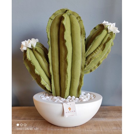 Cactus due braccetti in tessuto