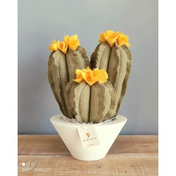 Tris cactus in tessuto misura media