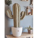 Cactus in velluto salvia